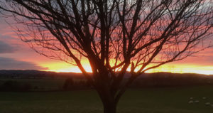 Southpark House Dumfries Sunrise