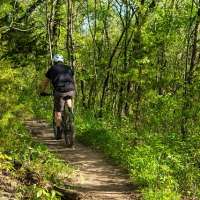 Mountain Biking in Dumfries and Galloway