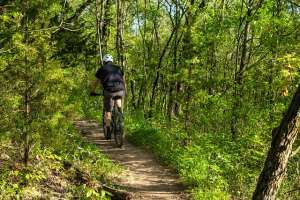 Mountain Biking in Dumfries and Galloway